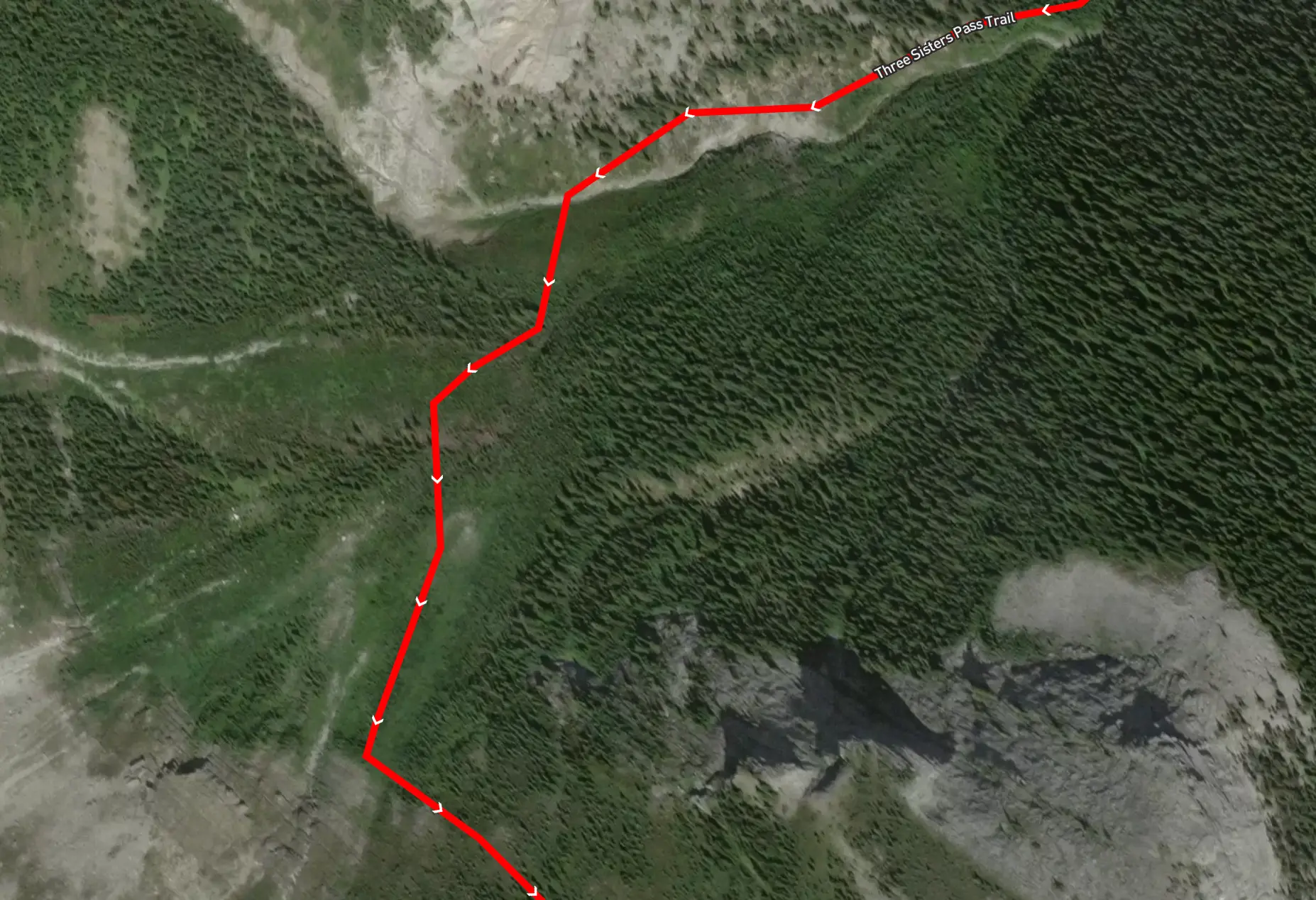 On this map, the route up the slope looks like light brush and grass. It's actually dense trees and downed trees.